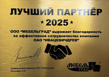 Лучший партнер 2025