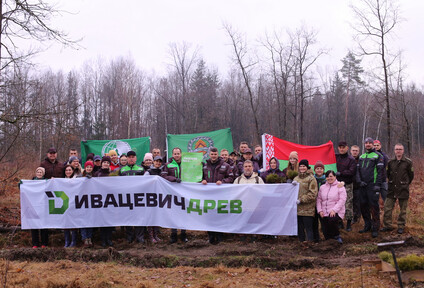 Сотрудники Ивацевичдрев приняли участие в акции "Неделя леса"